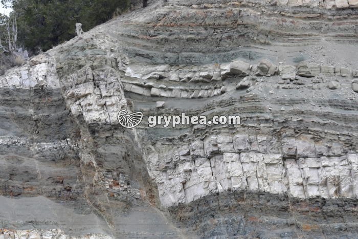 Faille - gryphea.com